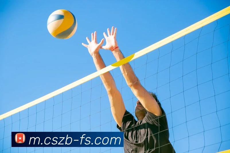 彩神争霸APP 封面图