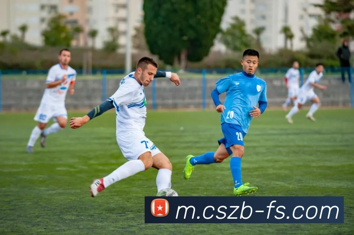 数据防护可视化